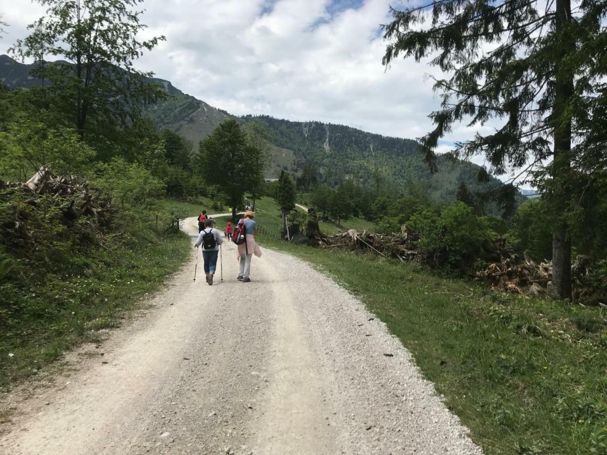 Wagnermoosgut * Bad Ischl